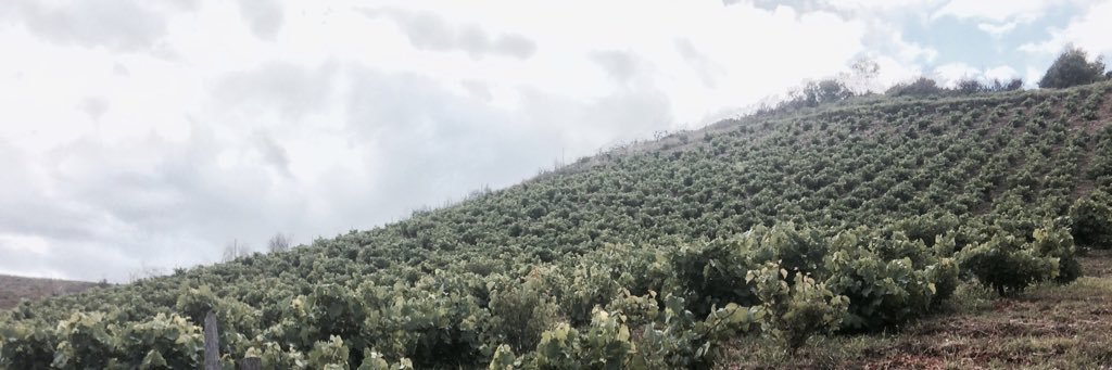josemitge's profile banner image