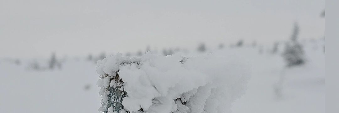 gurostorlien's profile banner image