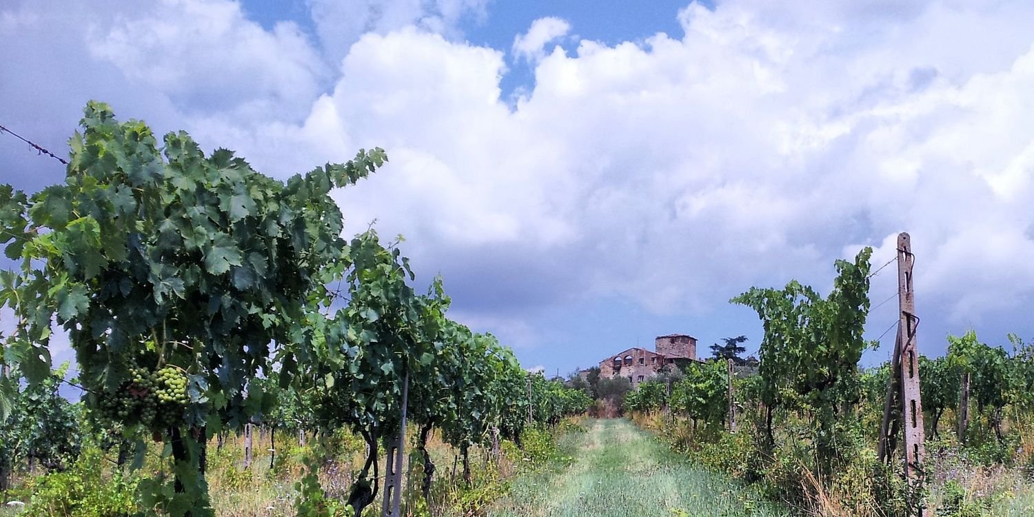 TuniaWines's profile banner image