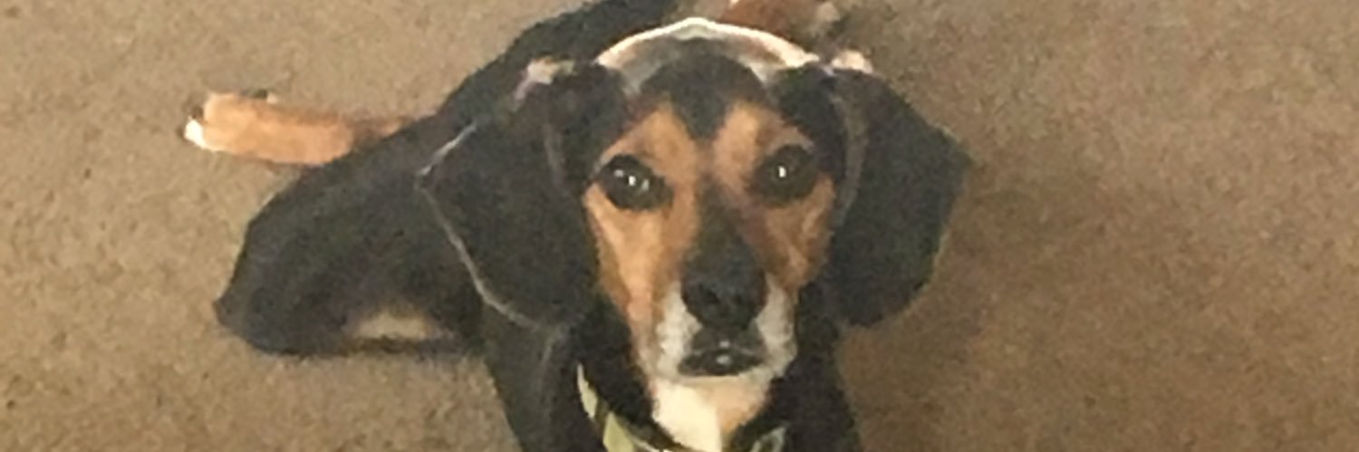 BrianSolvy's profile banner image