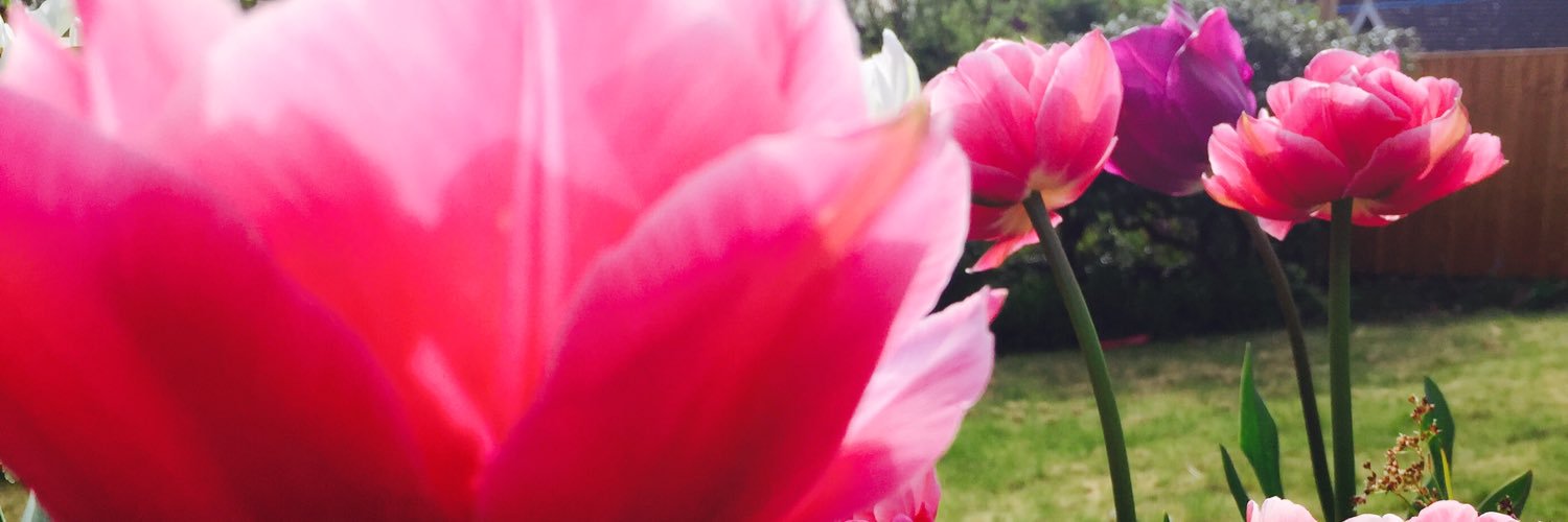 Dina1PR's profile banner image