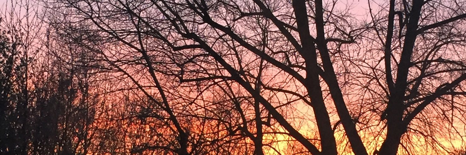 mrscmurden's profile banner image
