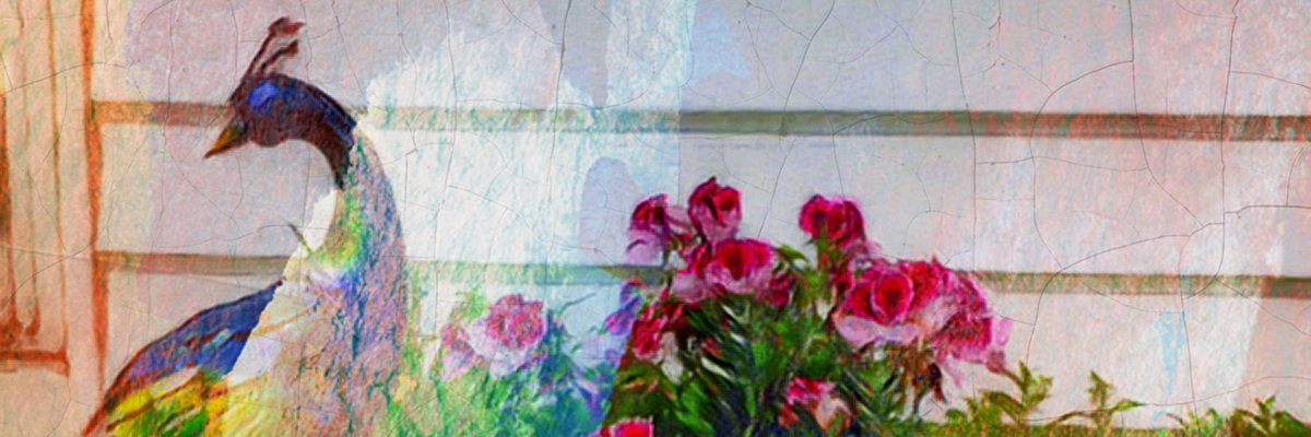 XitterUser3's profile banner image