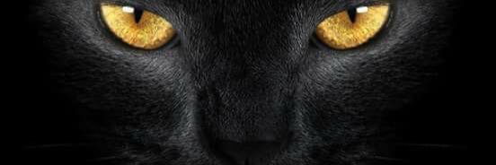 Jem1371's profile banner image