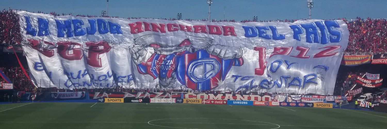 Romi_Cardozo's profile banner image