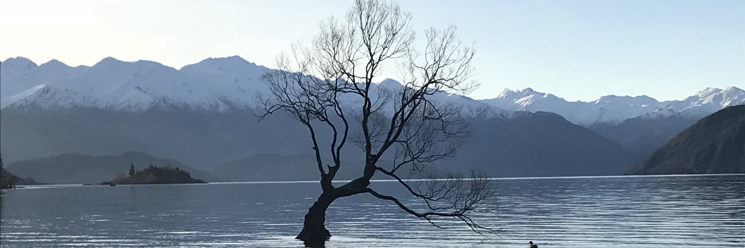 AineHee's profile banner image