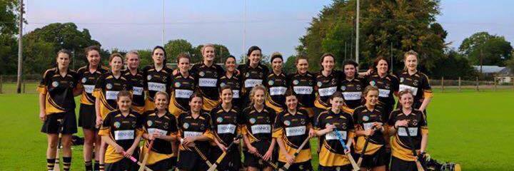 Dunboyne Camogie banner