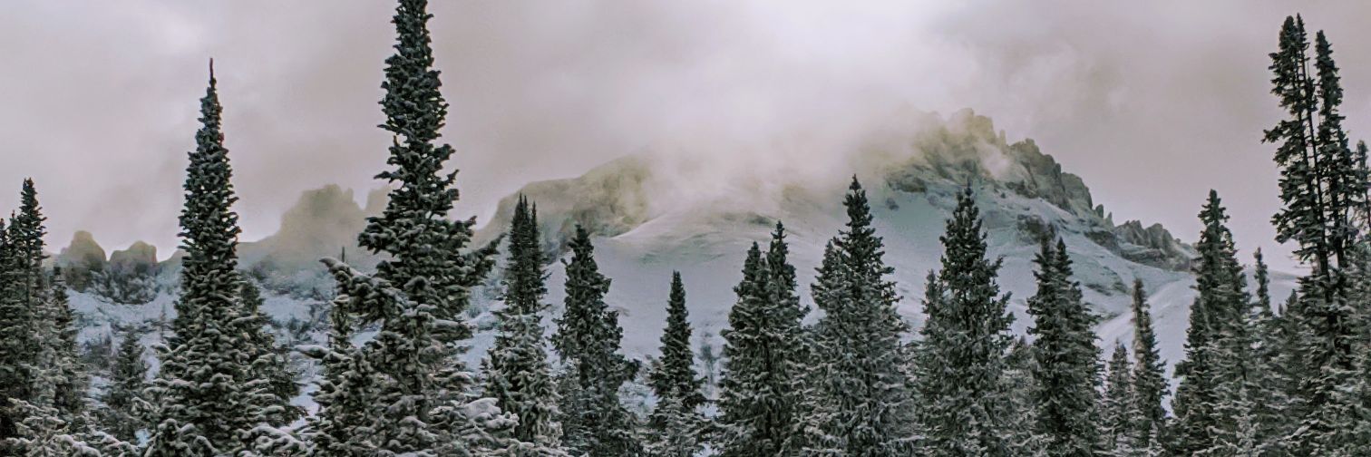 ashton_parrish's profile banner image