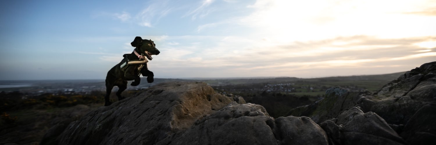 matt1don's profile banner image