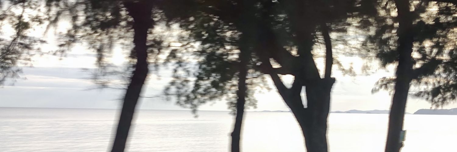 Ex_Zesaming's profile banner image