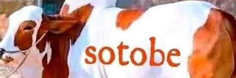ssiibbzz's profile banner image