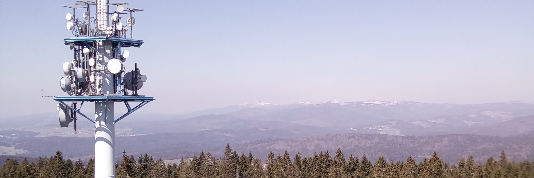 michael george banner