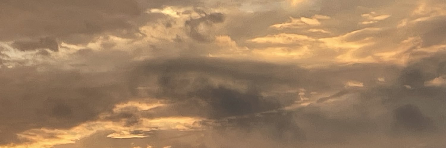 springfairy1's profile banner image