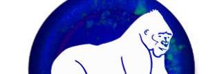 FCGorilas's profile banner image