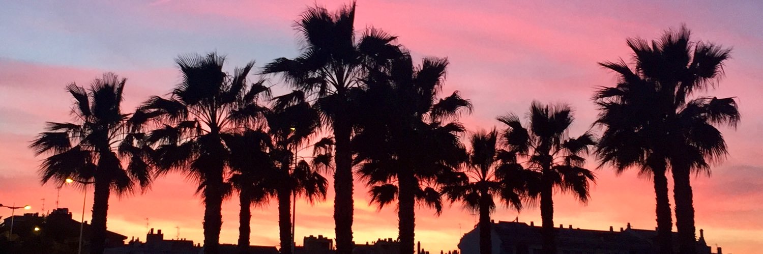 Fina Nicolás banner