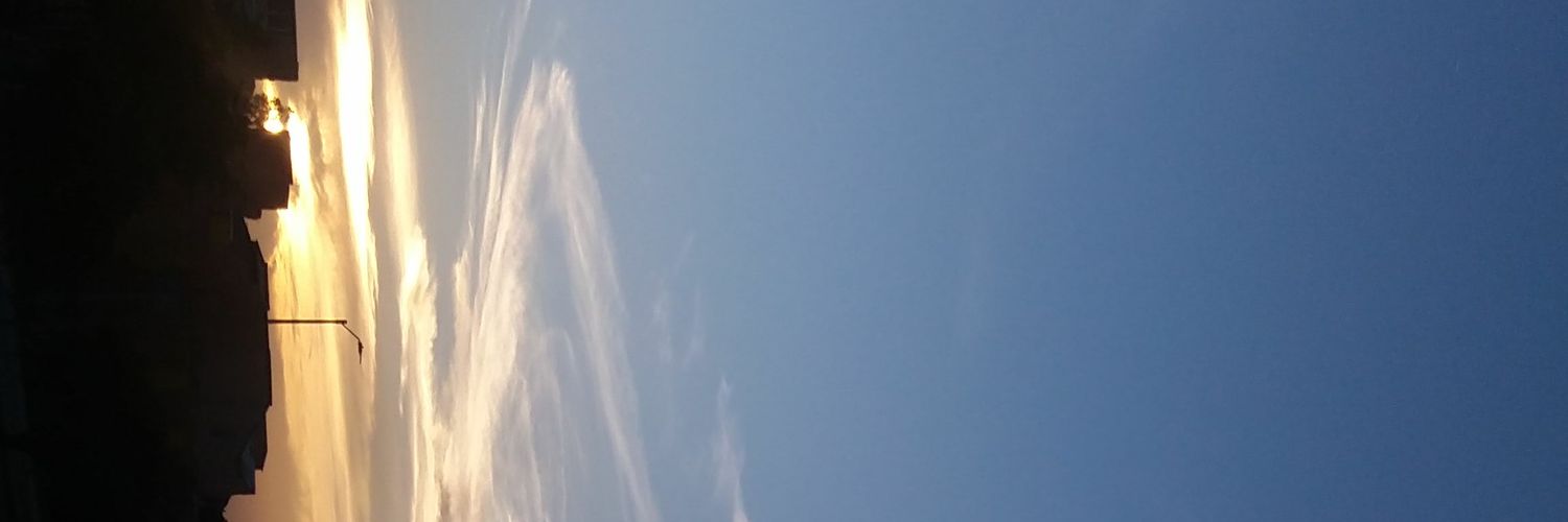 lanatadeleche1's profile banner image