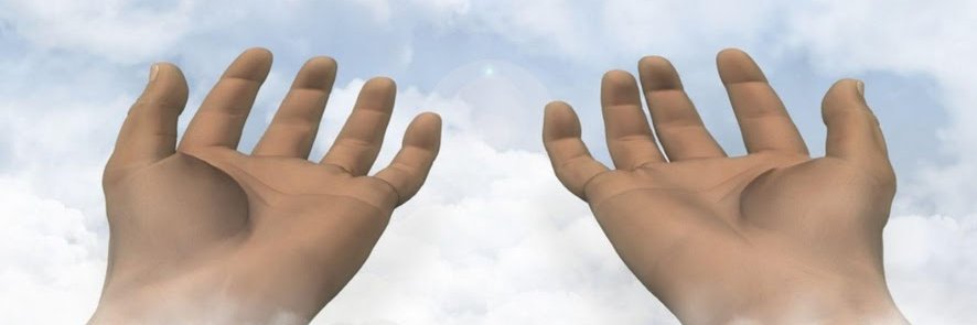 1Alaa1's profile banner image