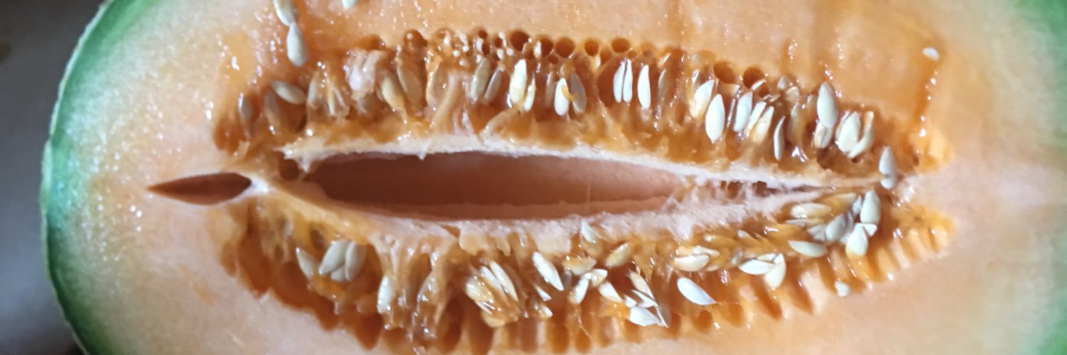 nikmullinix's profile banner image