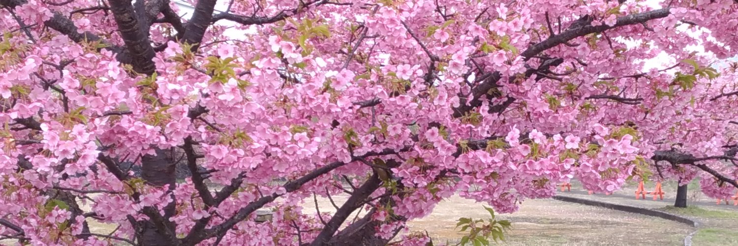 tossy_pd's profile banner image