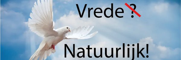 Andre_van_Delft Profile Banner