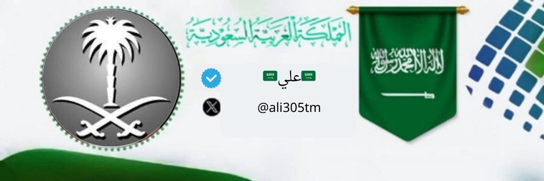 ali305tm's profile banner image