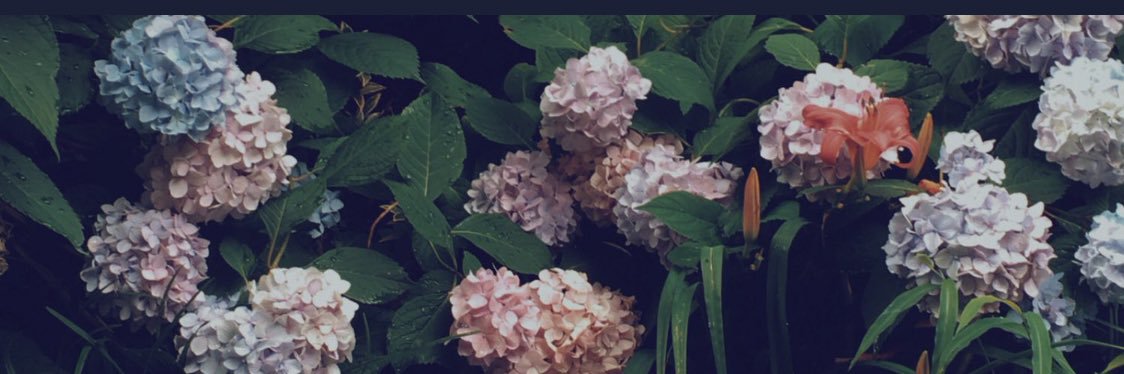 arantxapernias's profile banner image