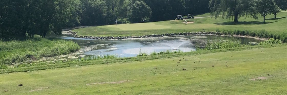 Daniel Johnson banner