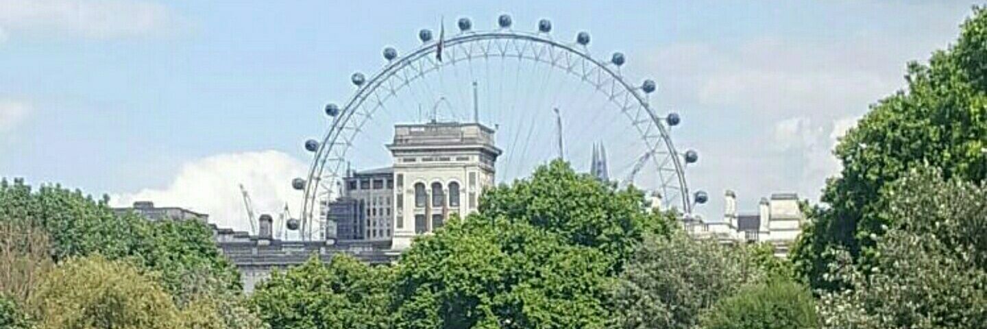 Avanelle Ogundipe banner