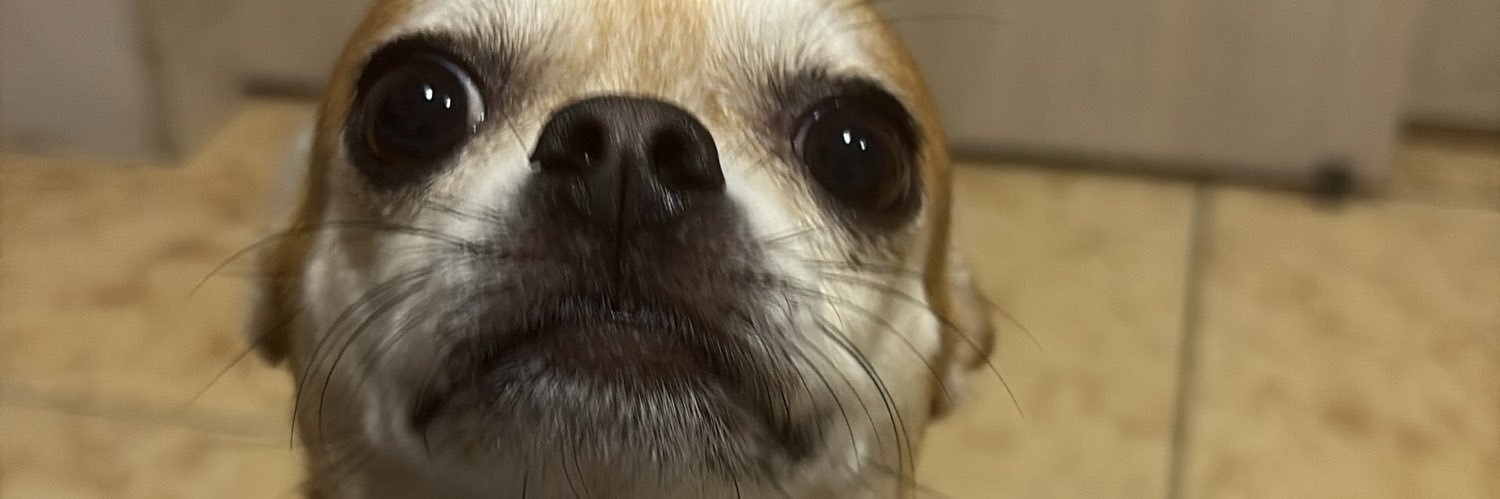 BaquerizoAna_'s profile banner image