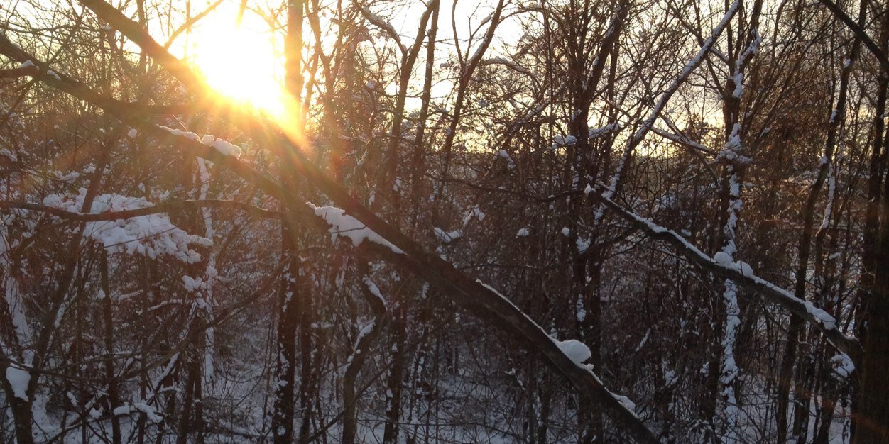 LatinHrtThrob banner