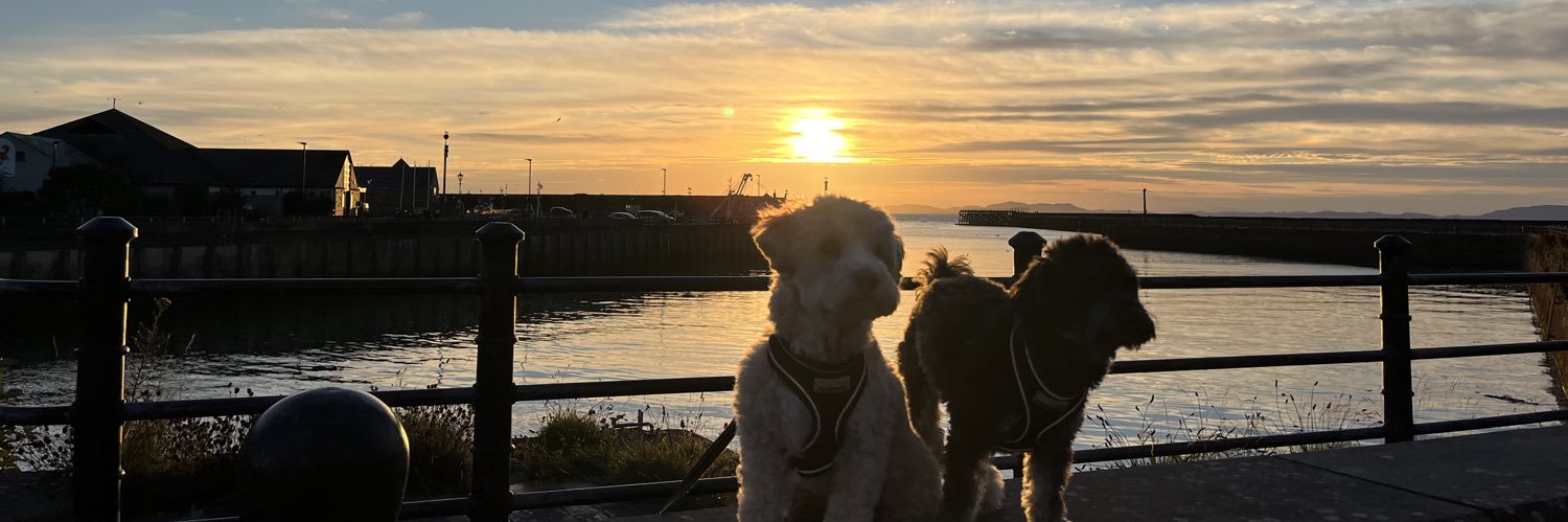 LiamThomason's profile banner image