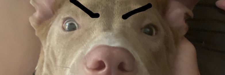 PeterGype's profile banner image
