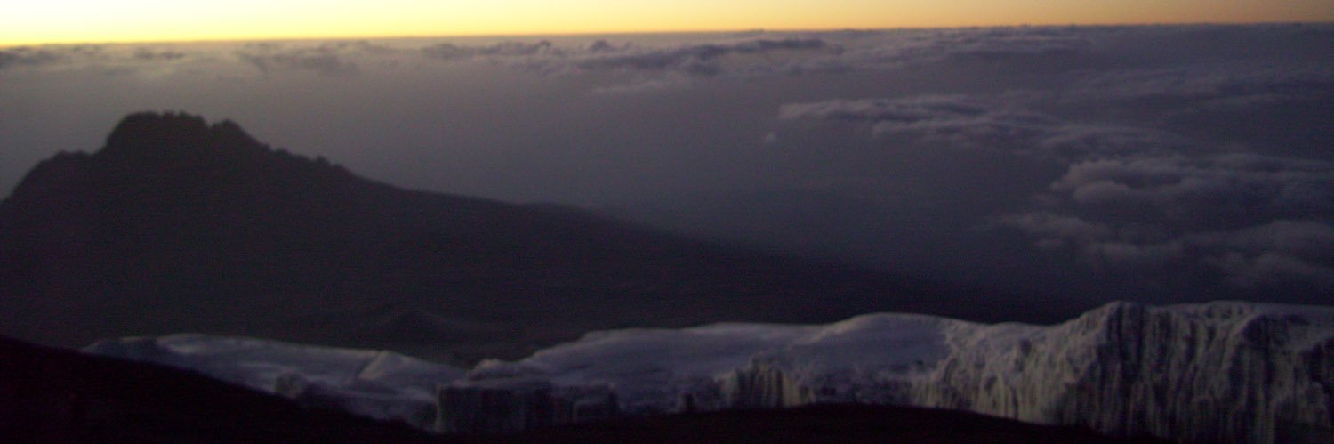 Stephanie Lee banner