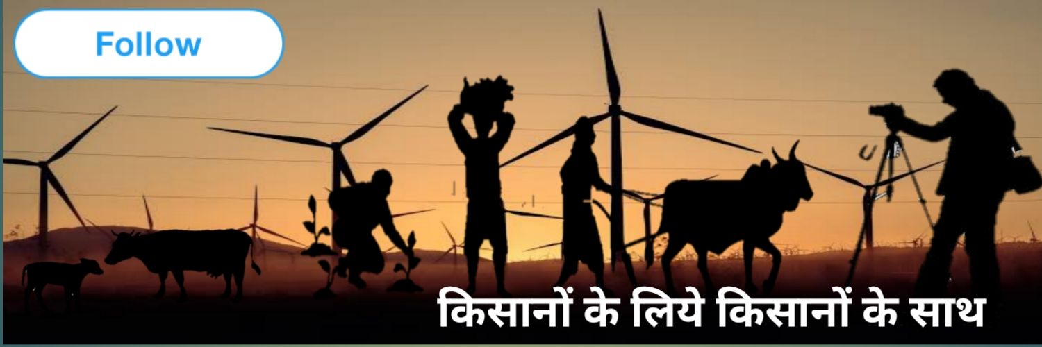 kisaandost's profile banner image