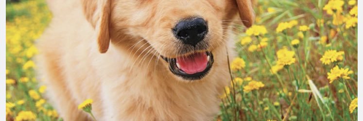 TracyA1008's profile banner image
