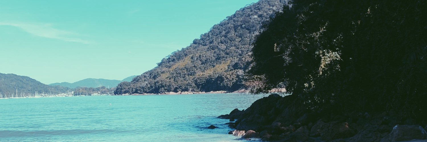 thaisdirusso's profile banner image