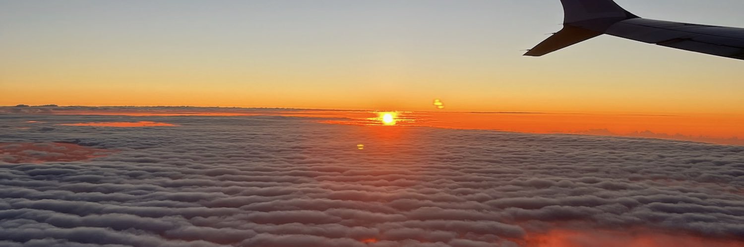 LilyMayShaw's profile banner image