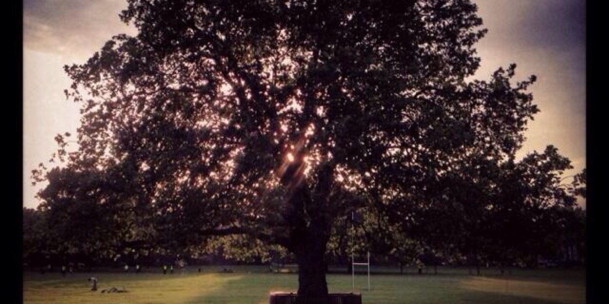 PeckhamRyePark's profile banner image