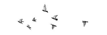 ParkClio_'s profile banner image