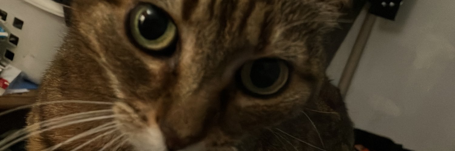 G rd n Gi s n (Parody) banner