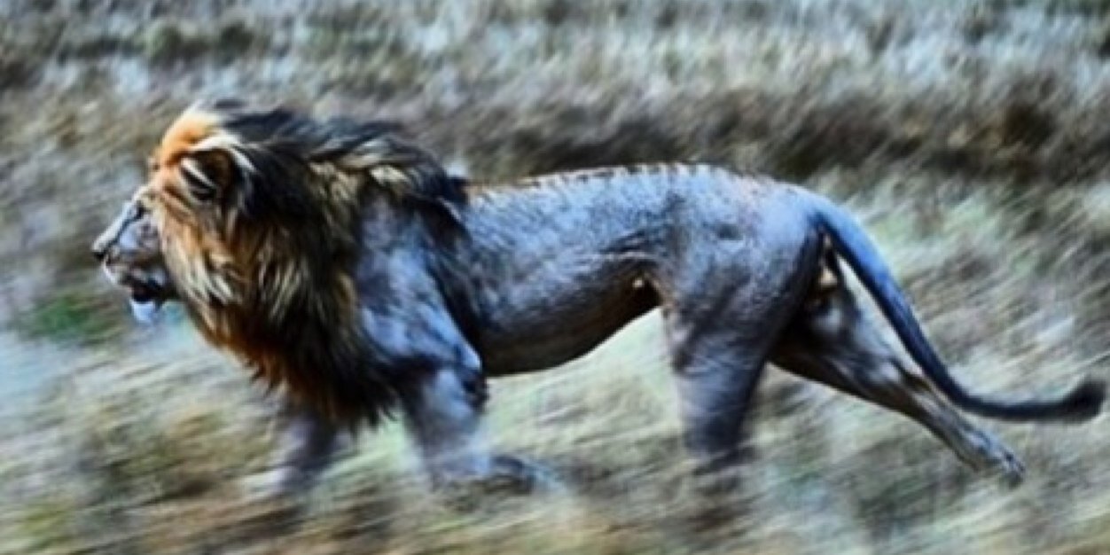 AaronPasker's profile banner image
