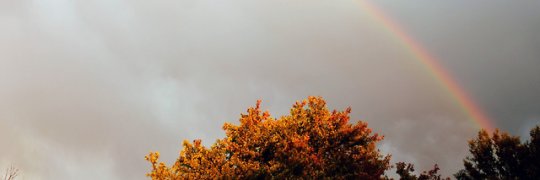 yourbubblecl's profile banner image