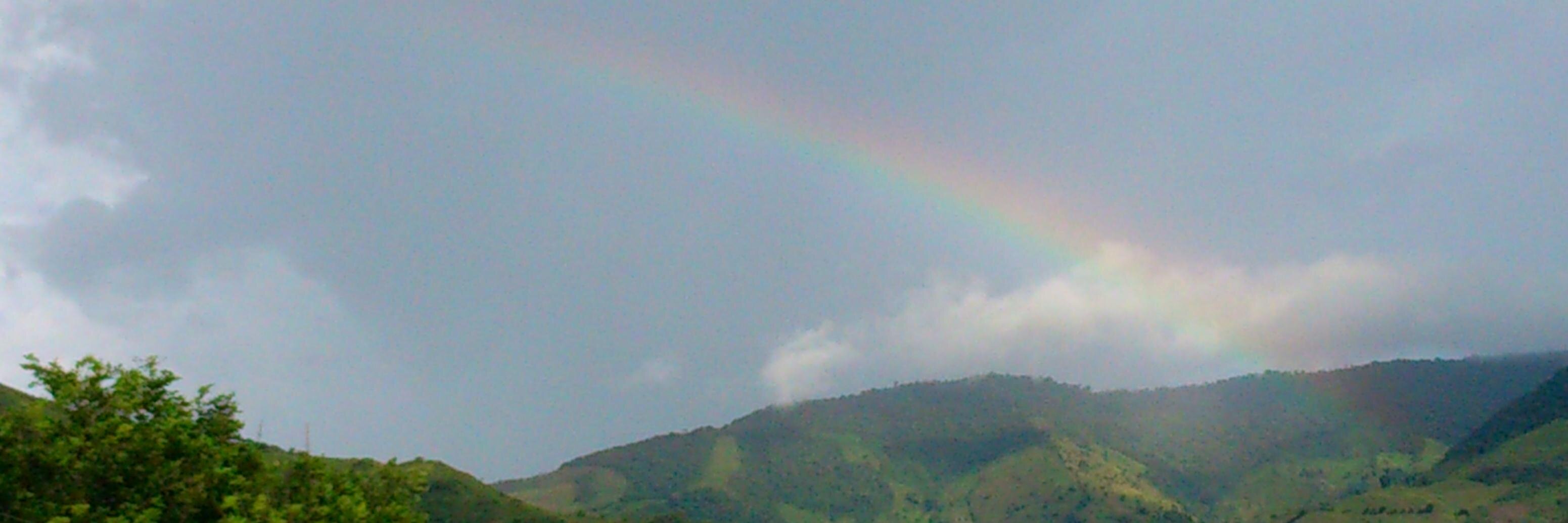 velezdabeiba's profile banner image