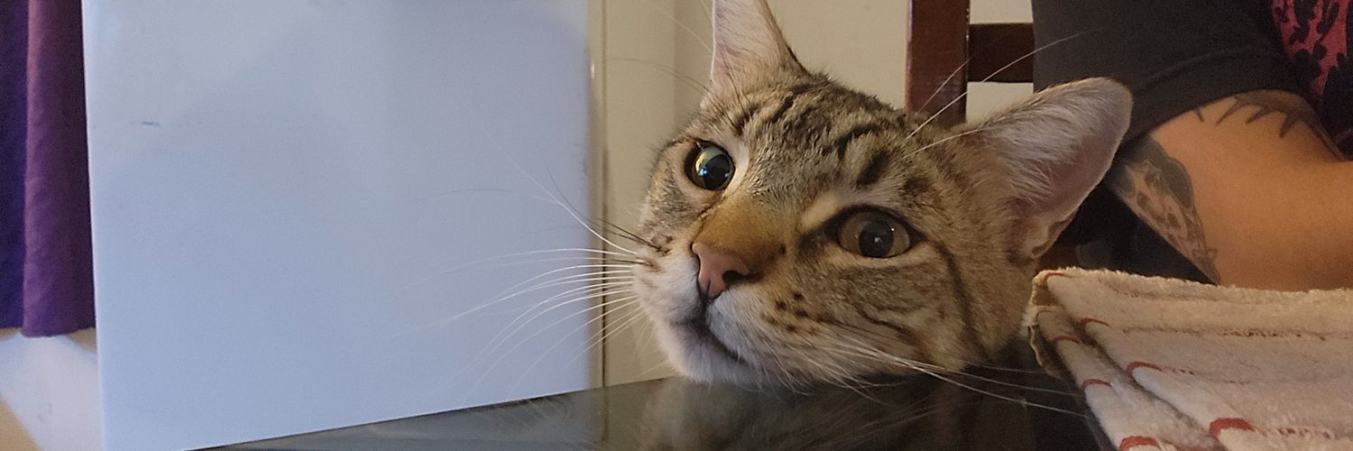 cammmmmmmmmmmm_'s profile banner image