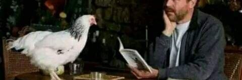 MaMoumen's profile banner image