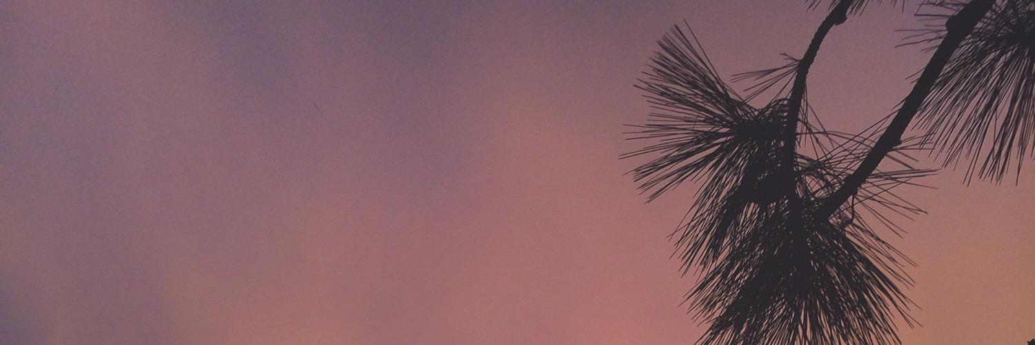 lizzabee_'s profile banner image