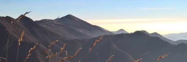 luciamedizza's profile banner image