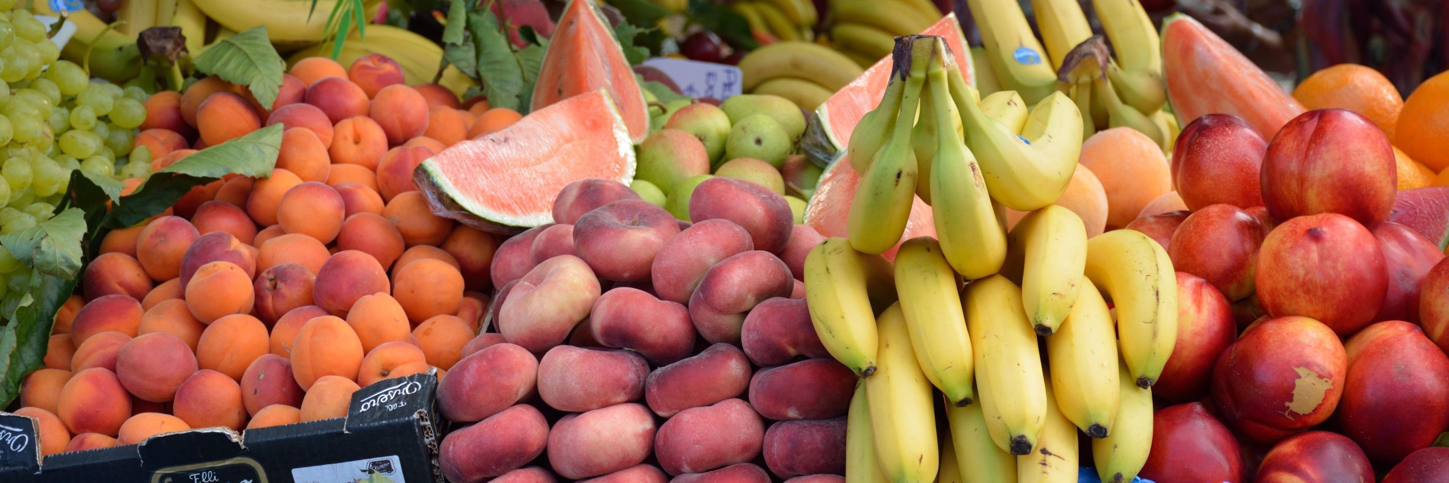 Victoria Palomo banner