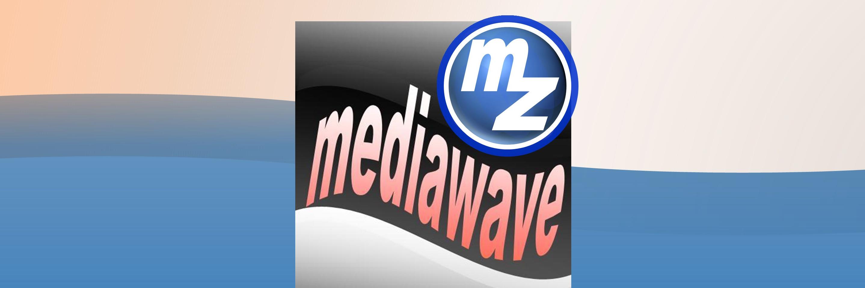 mediawave from #zerm banner