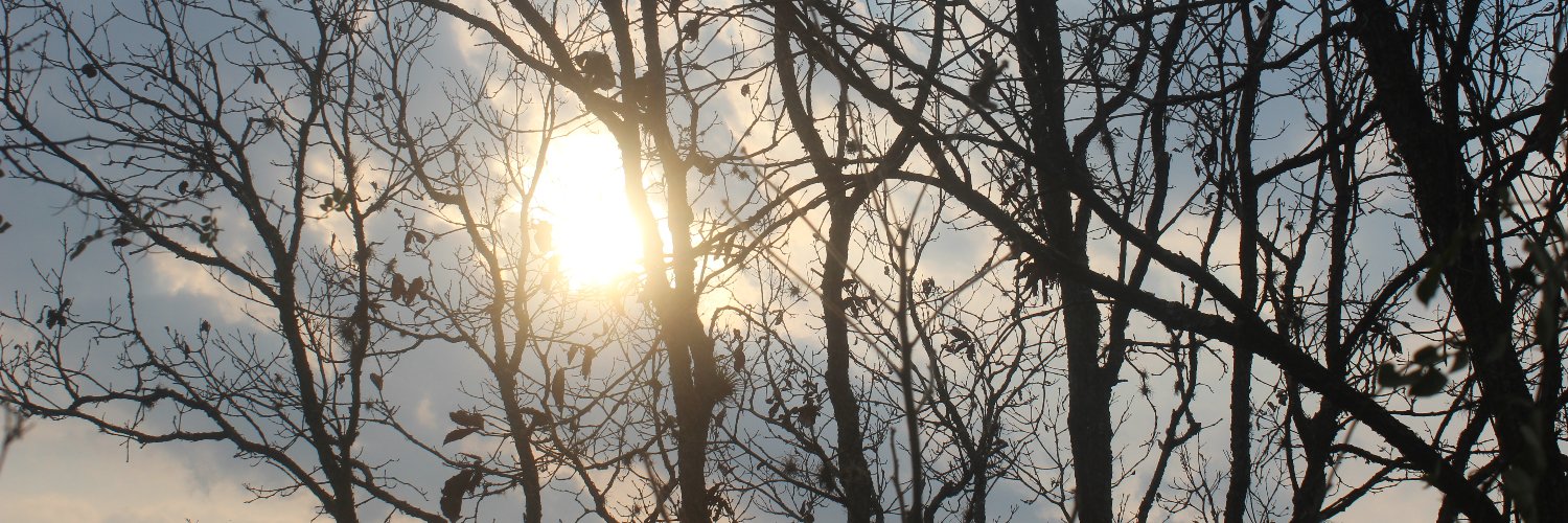 M_Ely_'s profile banner image